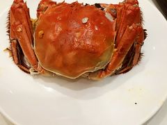 清蒸大閘蟹-沪江饭店(利舞台店)