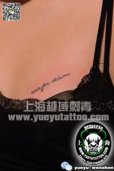 点击看大图 -越域刺青