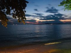 -卷心菜和避孕套餐厅(Pattaya)