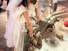 -正佳雨林生态植物园