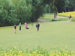 -长白岛森林公园