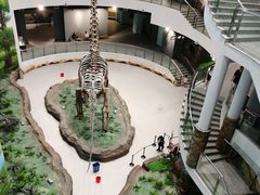 -辽宁古生物博物馆