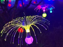 -歌斐颂巧克力小镇