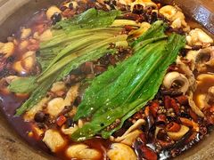 麻辣石锅鱼-都江堰石锅鱼