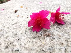 -乌山风景区