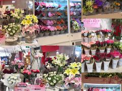 -天虹购物中心(深圳龙华店)