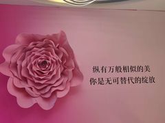 -坂田天虹