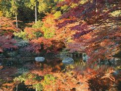 -醍醐寺