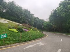 -深圳国际园林花卉博览园