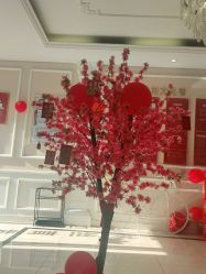 -Bollins波林丝•专研护发中心