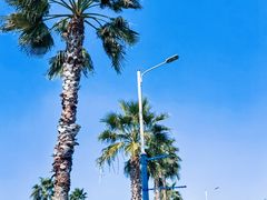 -东钱湖旅游度假区