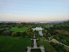 -张坝桂圆林公园