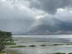 -野菌皇海景野生菌火锅(滨海大道店)