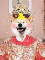 点击看大图 -盘子女人坊古装写真摄影(南京总店)