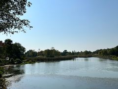 -贡湖湾湿地公园