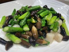 鸡枞菌芦笋炒元贝-品悦酒店(三林古镇店)