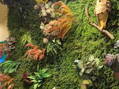 -味之绝热血美蛙鱼火锅(中坝店)