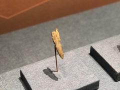 -盘龙城国家考古遗址公园