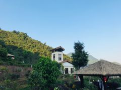 -英德宝晶宫天鹅湖茶语温泉