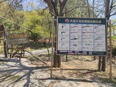 -金龙寺国家森林公园