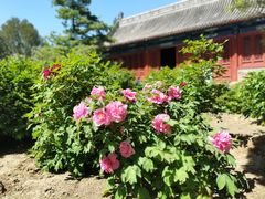 -大钟寺古钟博物馆