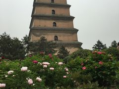 -西安青龙寺遗址景区