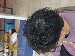 -天使之手