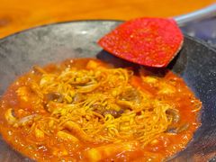 八爪鱼微辣-红辣椒八爪鱼特色韩国料理