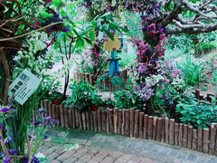 -呀路古热带植物园