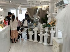 -共舞时光猫咖·狗咖(新街口店)