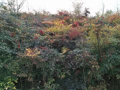 -西安汉城湖景区