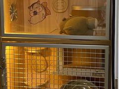 -瑞派·关忠动物医院·异宠专科·犬猫肿瘤·皮肤专科(望京店)