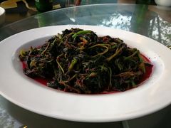 -月圆霖特色农家乐