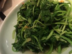 邹山腐皮鸡毛菜-竹外桃花·江南小酒馆(SKP·S店)
