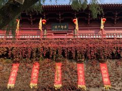 -杭州宋城