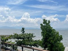 -深圳湾公园(南山区)
