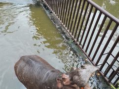 -海南热带野生动植物园