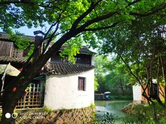 -西溪国家湿地公园