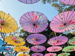 -人民公园(罗湖区)