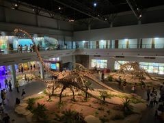 -自贡恐龙博物馆