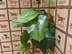 -五星桥原切肥牛火锅·30年专注好牛肉(湖塘店)
