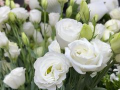 -亭亭鲜花店(中山北路店)