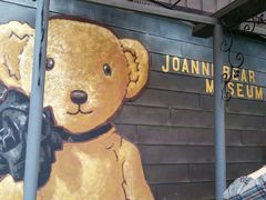 android_upload_pic-济州岛泰迪熊博物馆