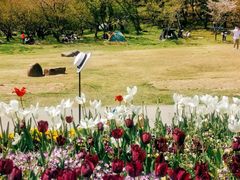 -苏州上方山国家森林公园
