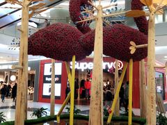 -凯德广场(学府店)