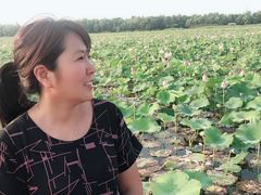 -焦岗湖旅游度假区