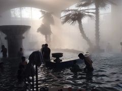 -仁爱团泊湖温泉中心