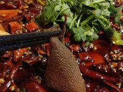 -柏合黄记豆腐皮饭店