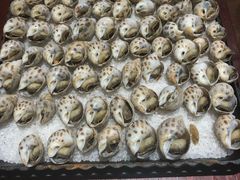 -津菜宋记老房子(鼓楼店)