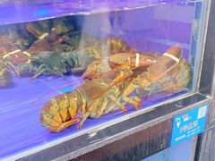 -亚龙湾亚泰商业街